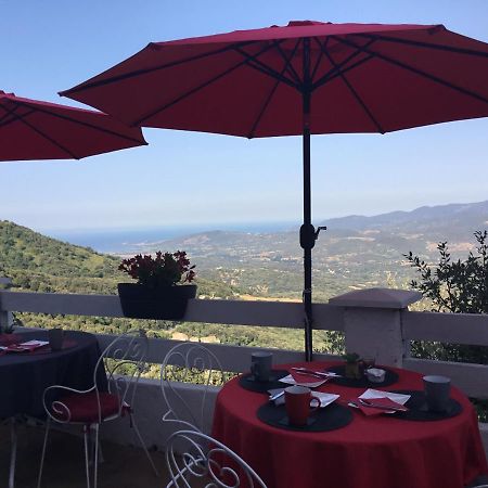 U Riposu Di A Cupulatta Bed & Breakfast Sollacaro Luaran gambar